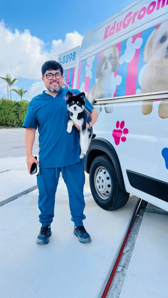 Mostrar a uno de los mejores peluqueros caninos que existen en Miami